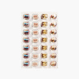 Skintelligent System